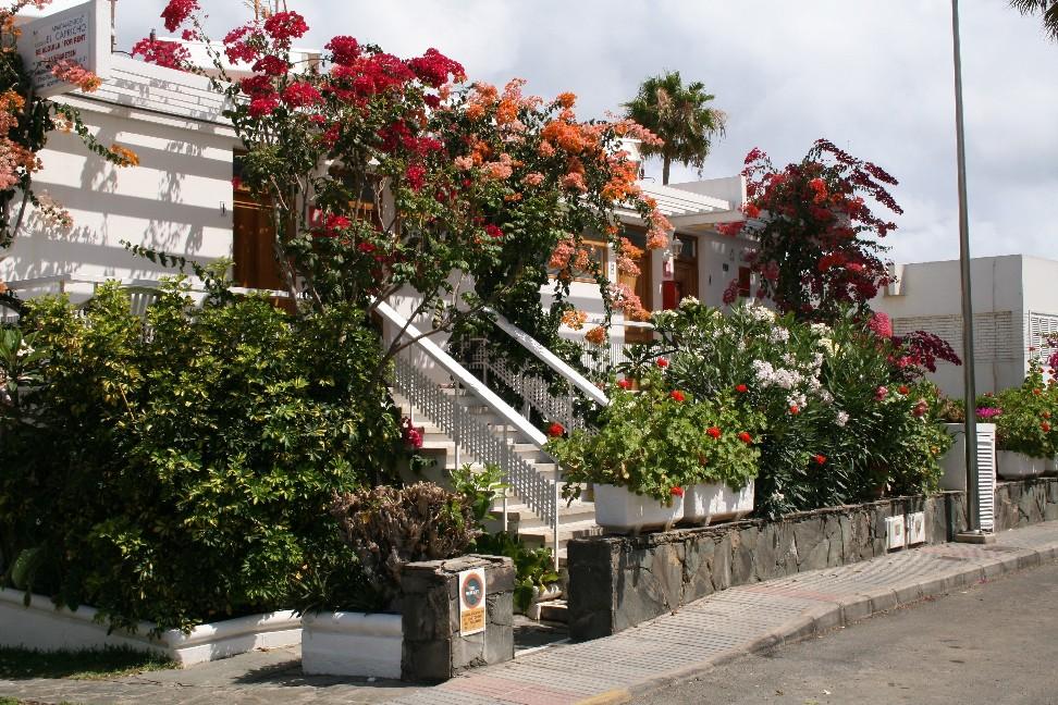 Apartamentos El Capricho Maspalomas  Ngoại thất bức ảnh